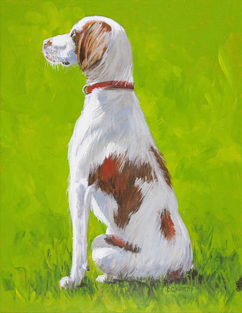 Brittany Spaniel (Prints available) by David Whited  Image: Brittany Spaniel