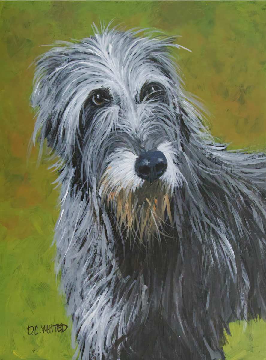 Irish wolfhound by David Whited  Image: Irish wolfhound