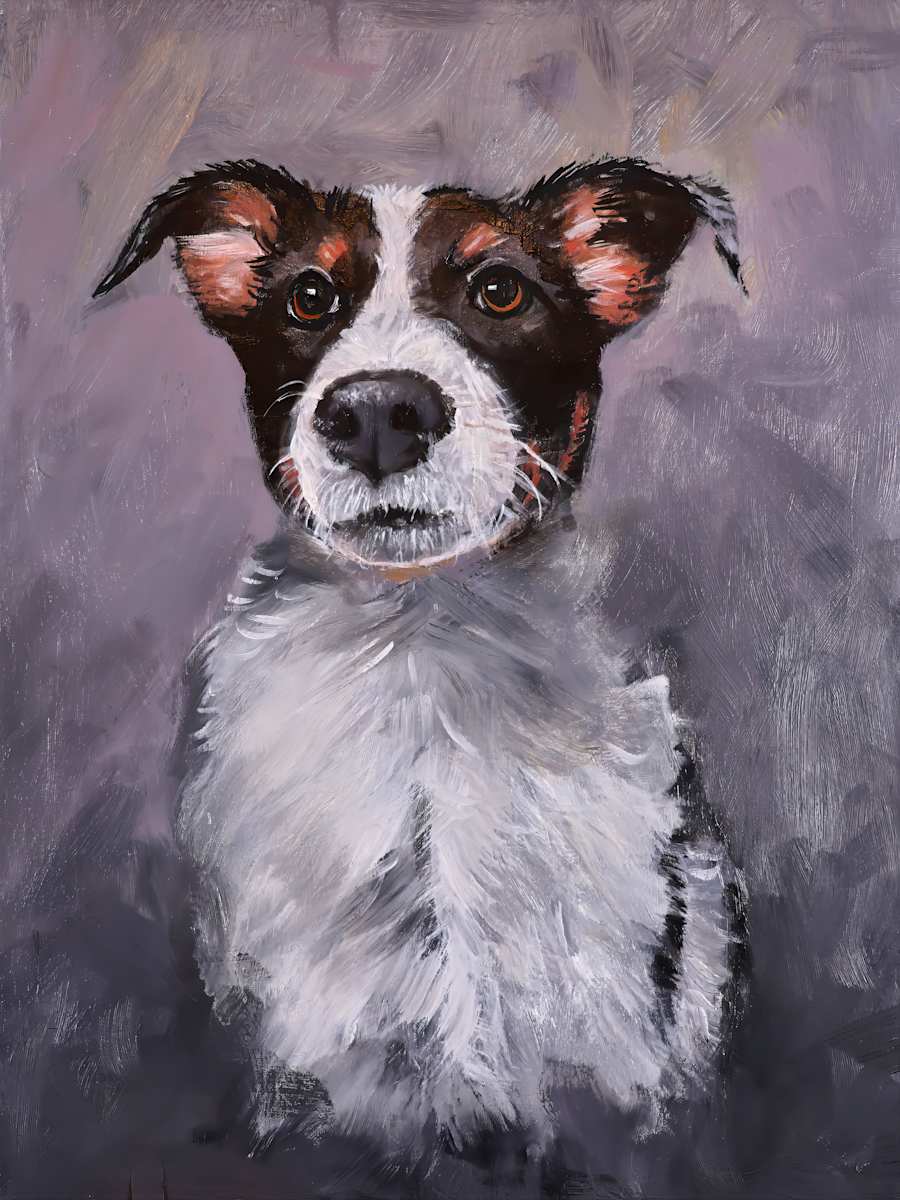 Australian  shepherd/cattle dog mix (Prints available) by David Whited  Image: Australian shepherd, cattle dog mix