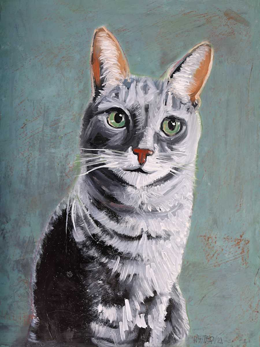 Gray tabby cat (Prints available) by David Whited  Image: Gray tabby cat