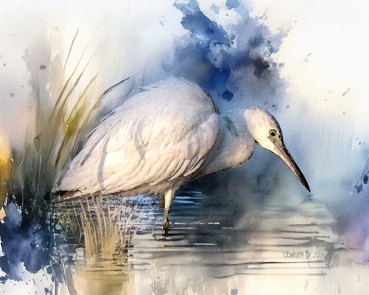 Little Egret by David Whited, Image 1.