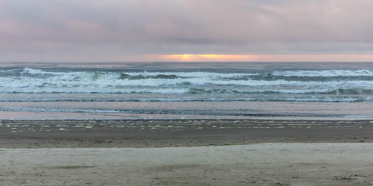 Sunset on the Oregon Coast by David Whited, Image 1.