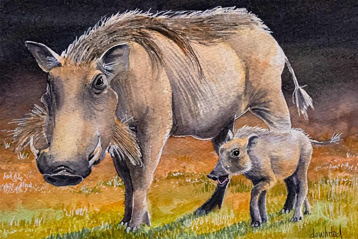 African Warthog and young by David Whited  Image: African Warthog and young