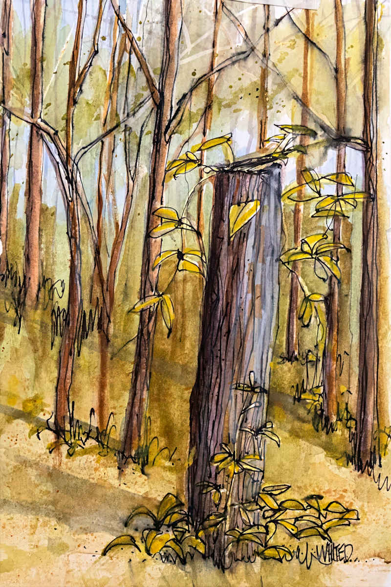 Ancient Fence Post by David Whited  Image: Ancient Fence Post 