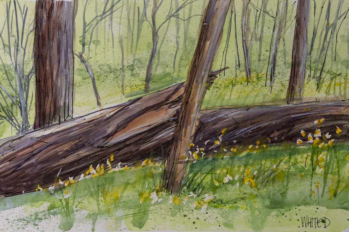 New and old generations by David Whited  Image: New and old generations