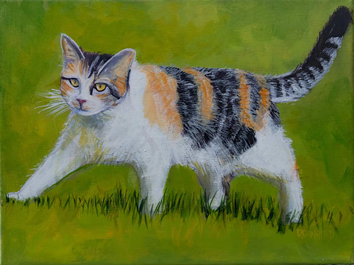 Calico Cat by David Whited  Image: Calico Cat
