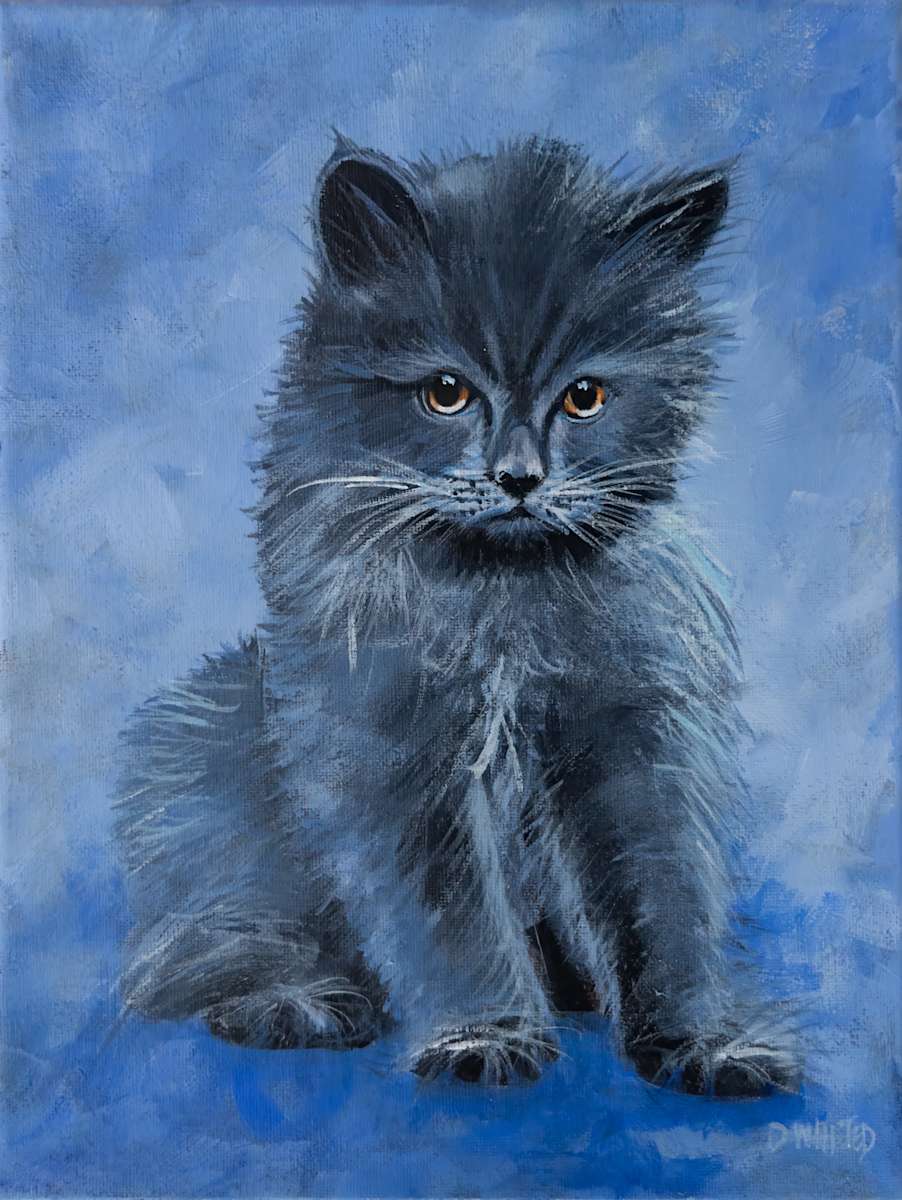 Grey Kitten by David Whited  Image: Grey Kitten