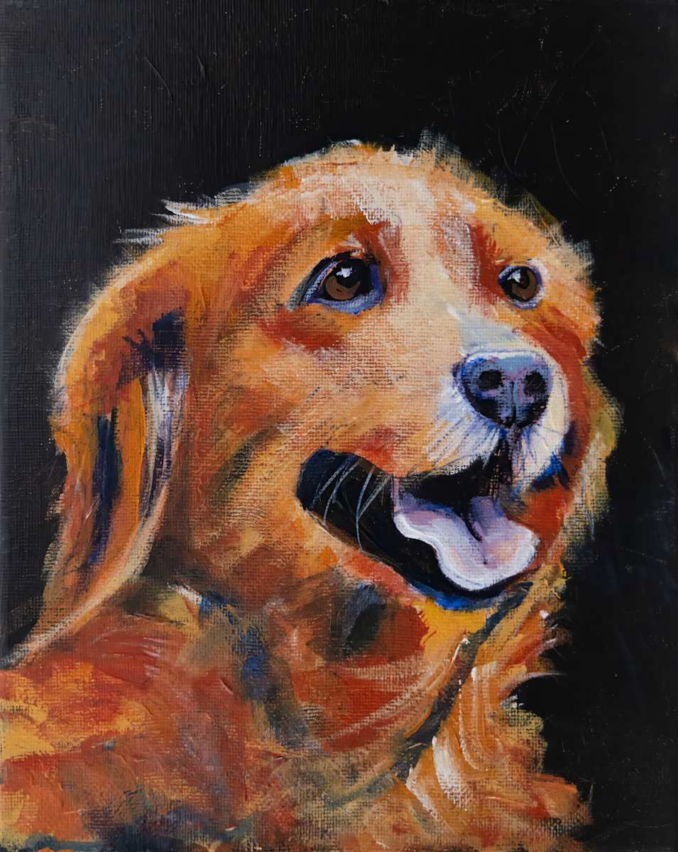 Golden Retriever by David Whited  Image: Golden Retriever