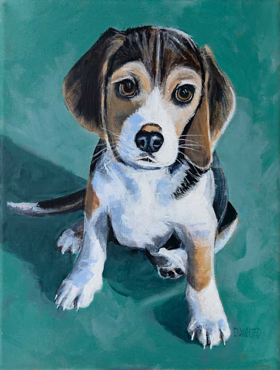 Beagle Puppy by David Whited  Image: Beagle Puppy