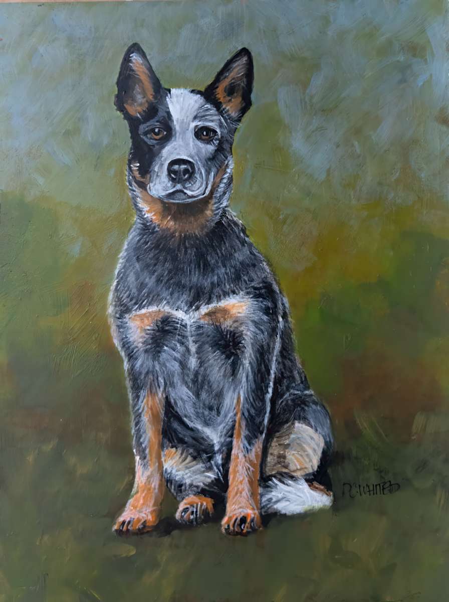 Australian Cattle Dog by David Whited  Image: Australian Cattle Dog