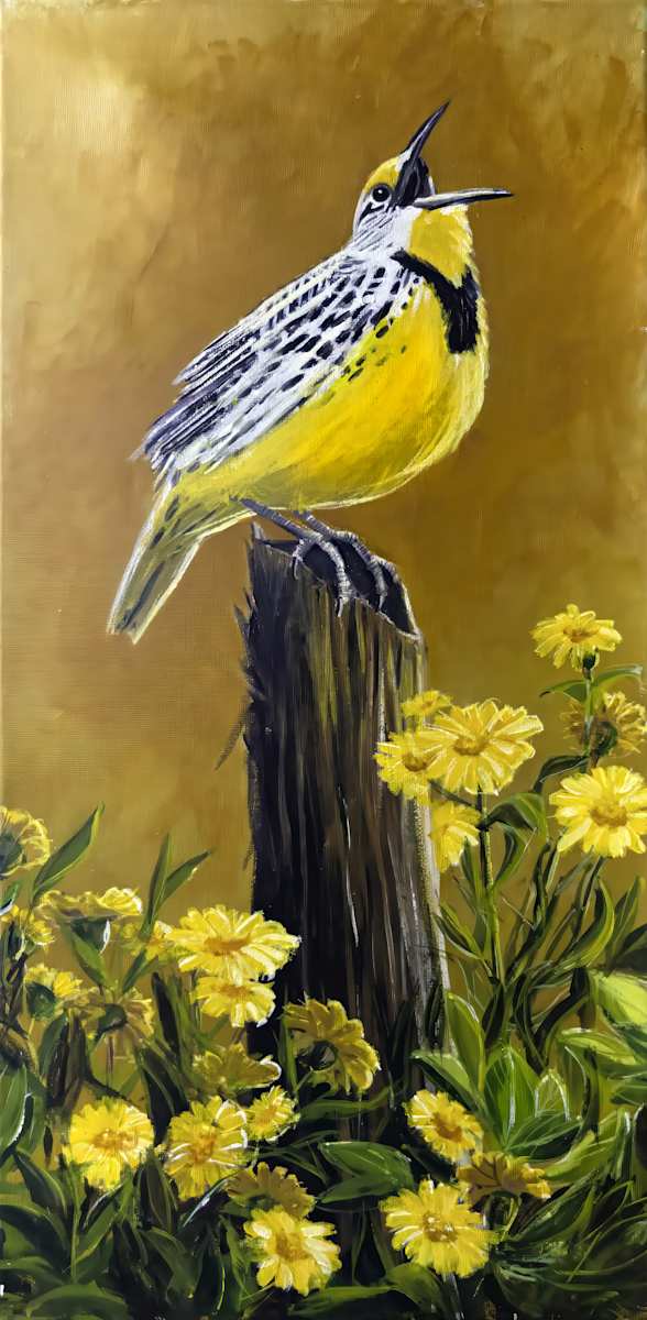 Meadowlark on a fence post by David Whited, Image 1.