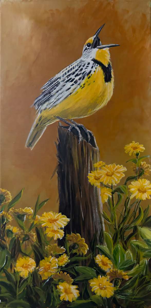 Meadowlark on a fence post by David Whited  Image: Meadowlark on a fence post