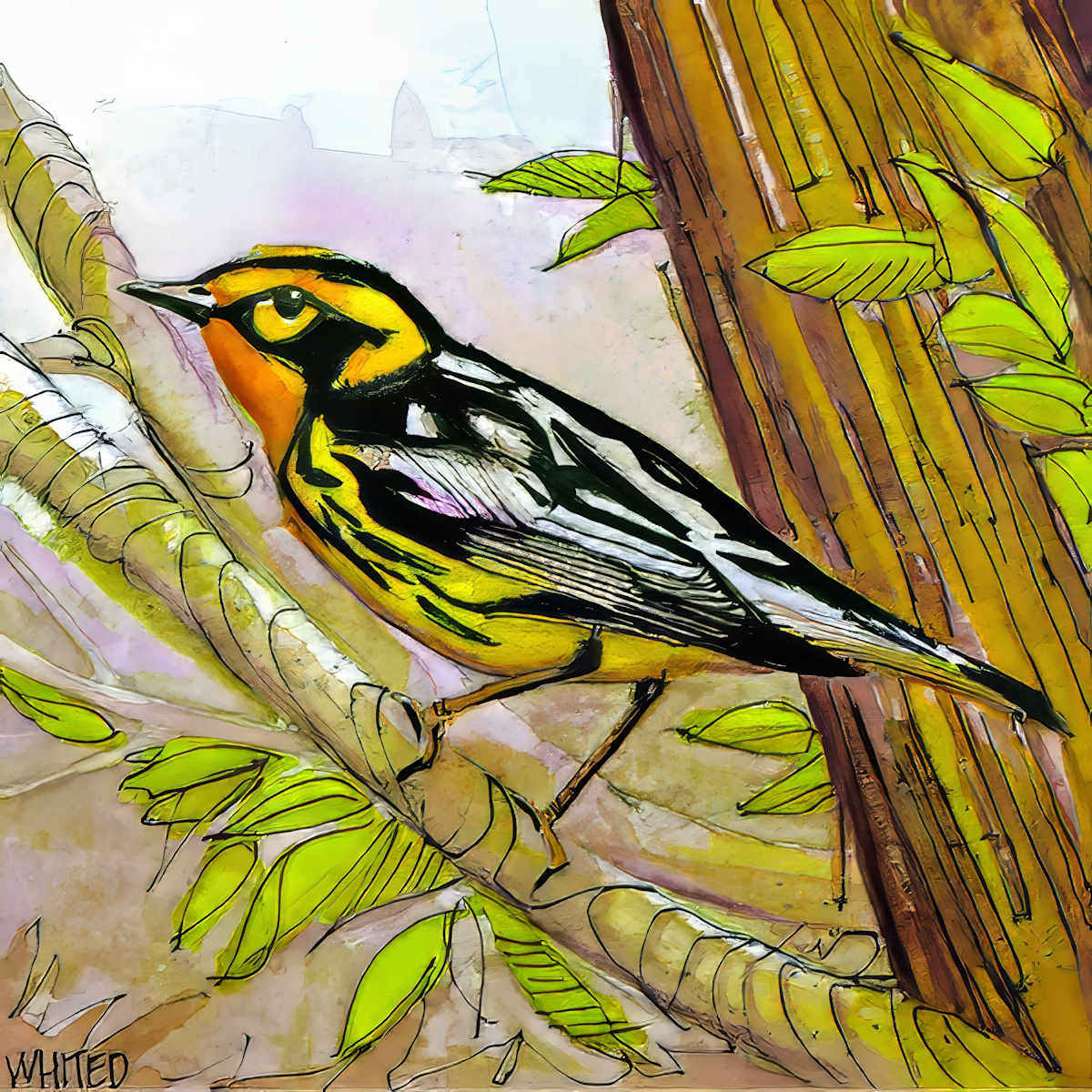 Blackburnian Warbler (Sold, prints available) by David Whited  Image: Blackburnian Warbler