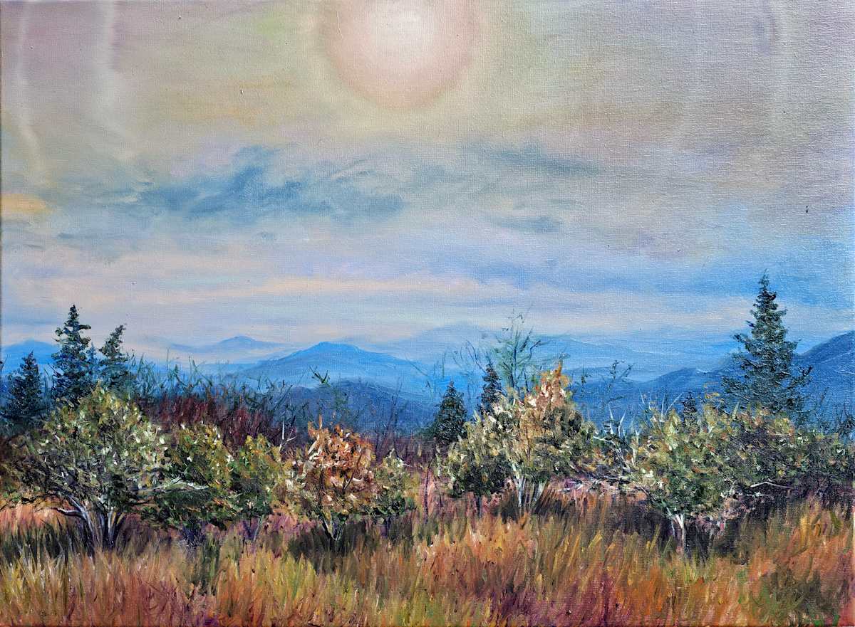 Summit's Sun by Tashina Marie  Image: Intensity and serenity play against each other as a powerful, radiant sun blazes in the sky above the traditional soft haze of the Smokie mountains. A tangle of sun crisped and wind torn trees lay scattered amid the grasses. Andrews Bald in winter.
