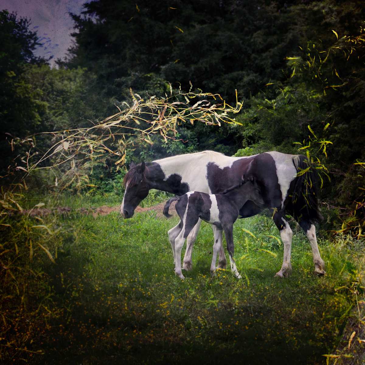 By What Is Given, They Become by Tashina Marie  Image: At the edge of light, the young one drinks from the body that bore it—
 but this moment speaks of more than milk.
 Every life is shaped by the unseen exchanges that came before:
 the resources shared, the lessons remembered,
 the quiet hopes that turn into bone and breath.
Through what is offered, the future learns its shape.
 In every generation, something is given—wisdom or wound,
 abundance or scarcity—and through that inheritance,
 the world becomes what it is.
 So the act repeats: a body leaning into another,
 a lineage remade by the grace of giving.