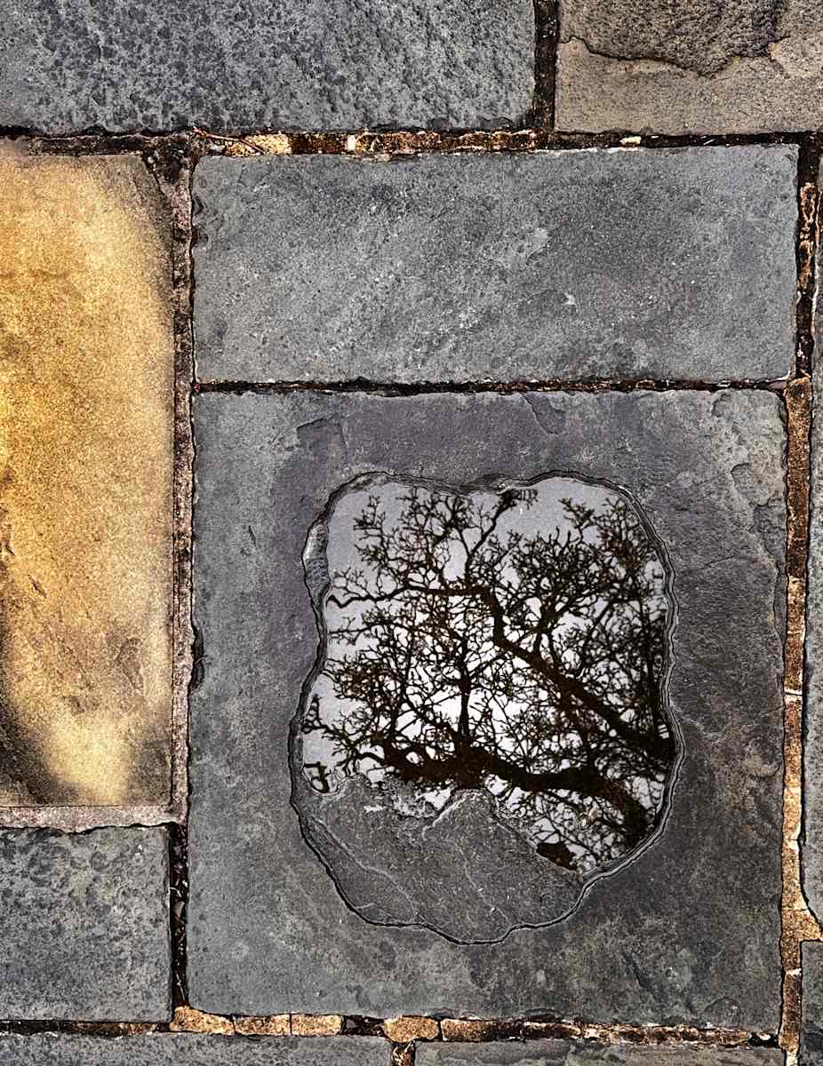 What The Ground Remembers by Todd Burger 