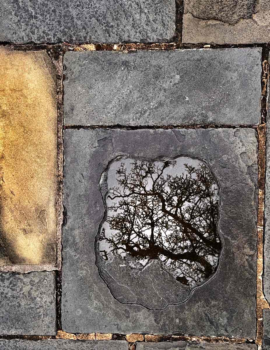 What The Ground Remembers by Todd Burger, Image 1.