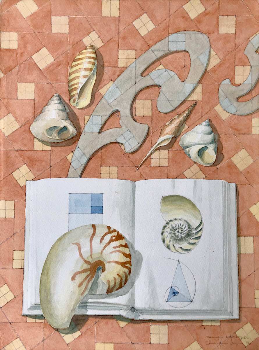 Harmonic Geometries by Chris James Cooper 