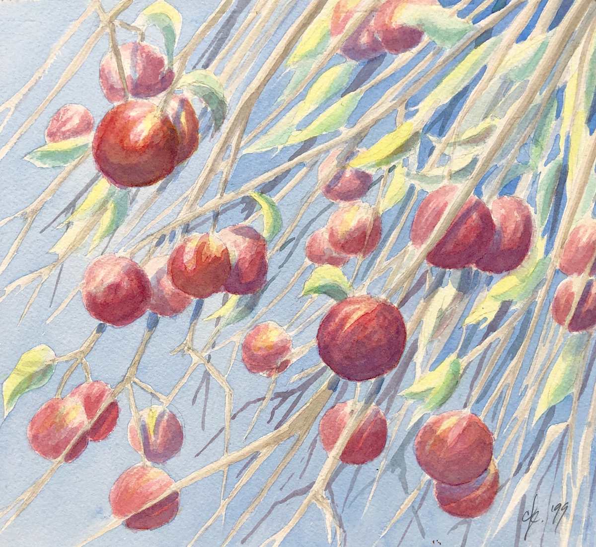 Untitled by Chris James Cooper 