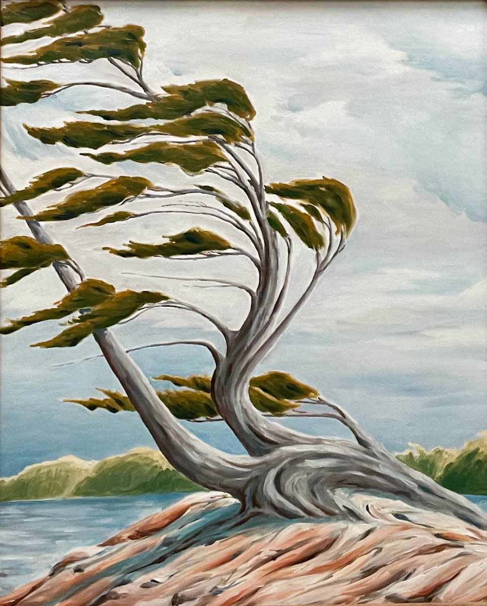 Pine in The Wind by Chris James Cooper  Image: Massasauga