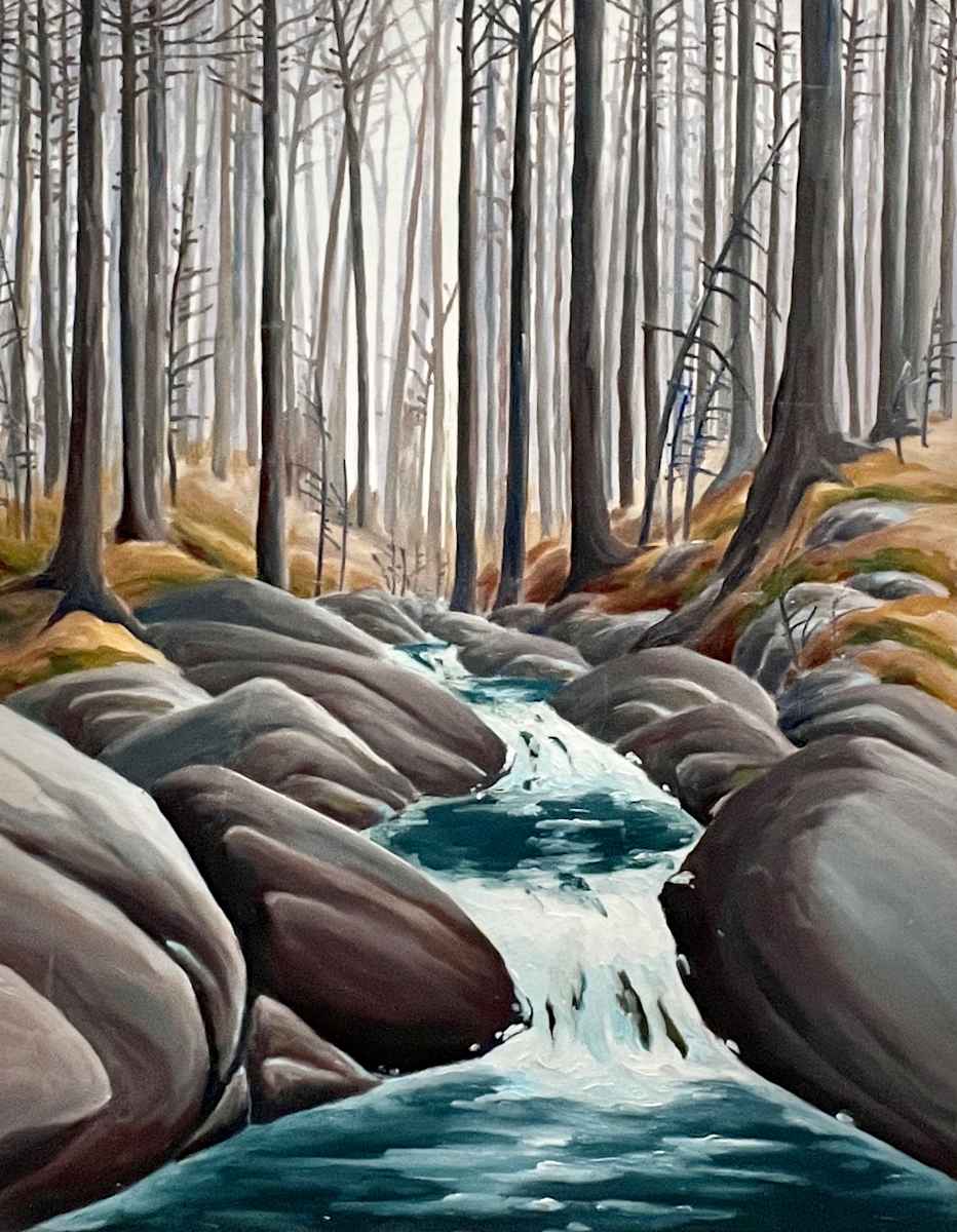 Trees Merging into Granite, Algonquin by Chris James Cooper 