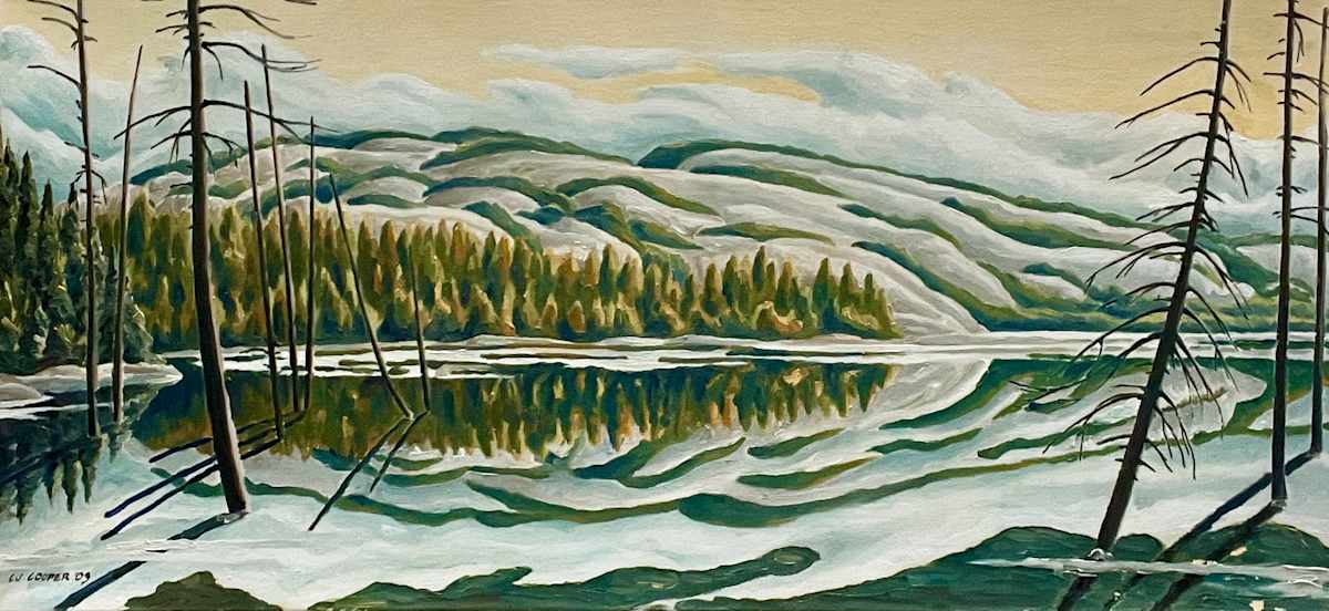 Mountain Lake, Killarney by Chris James Cooper 