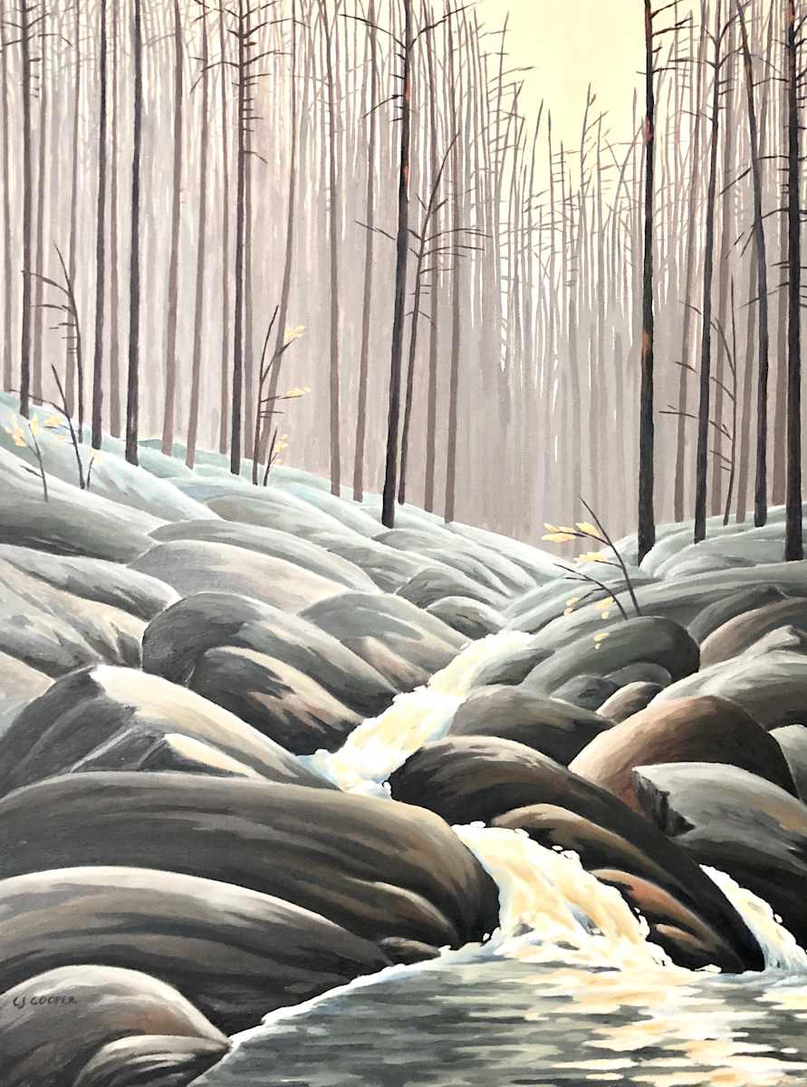 Renewal, Algonquin Park by Chris James Cooper, Image 1.