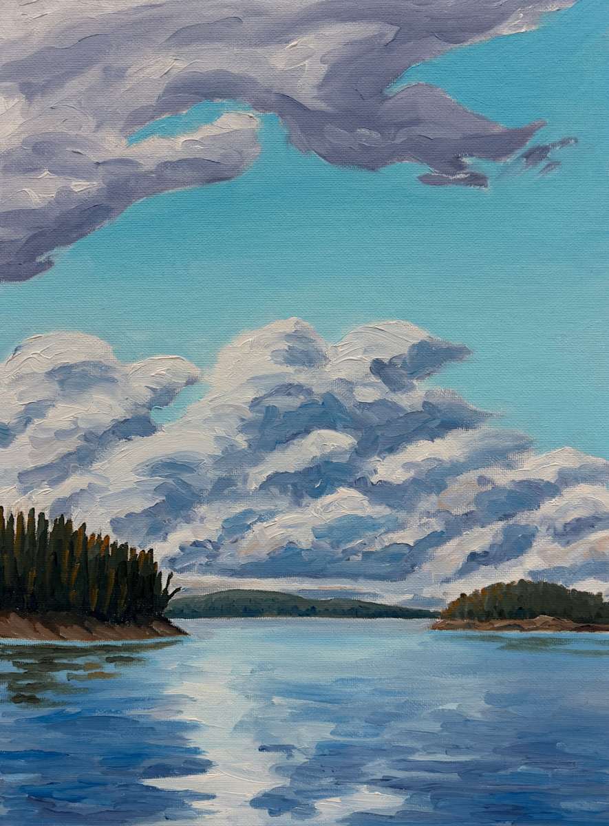 Study for Aerial Leviathan, MacKenzie River II by Chris James Cooper, Image 1.
