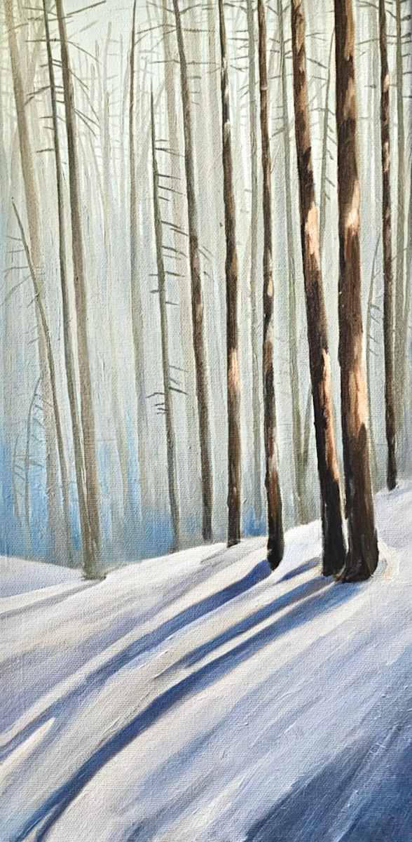 Silent Shadows by Chris James Cooper 