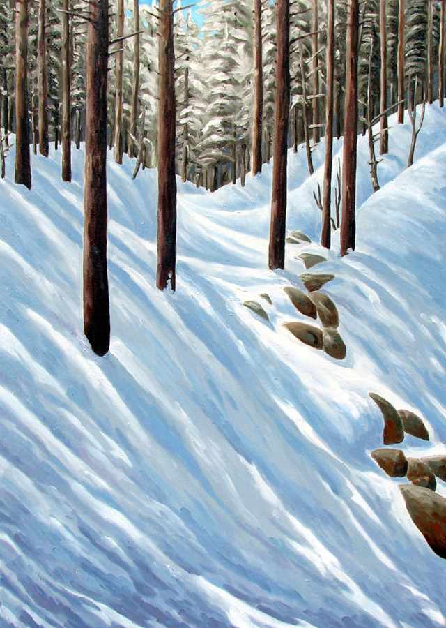 frozen_spring by Chris James Cooper 