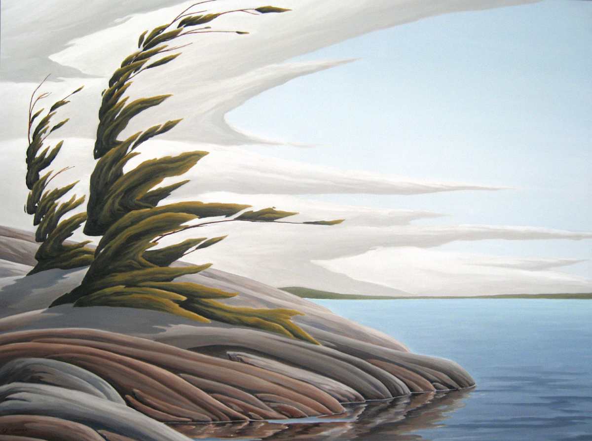 The Grain in The Stone by Chris James Cooper 