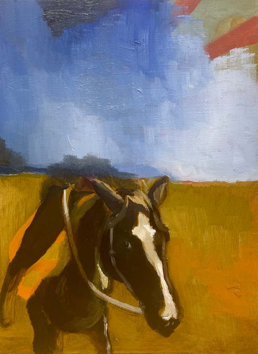 Horse Half Rider by Andonia Giannakouros, Image 12.