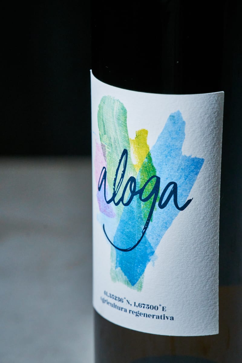 Aloga by Nicky Myny 