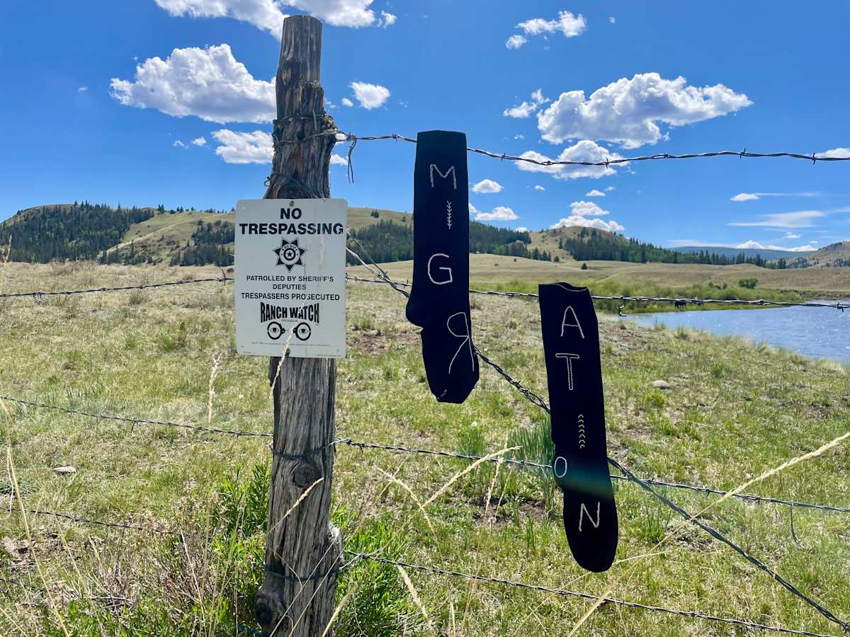 Migration by Nicki Stewart 