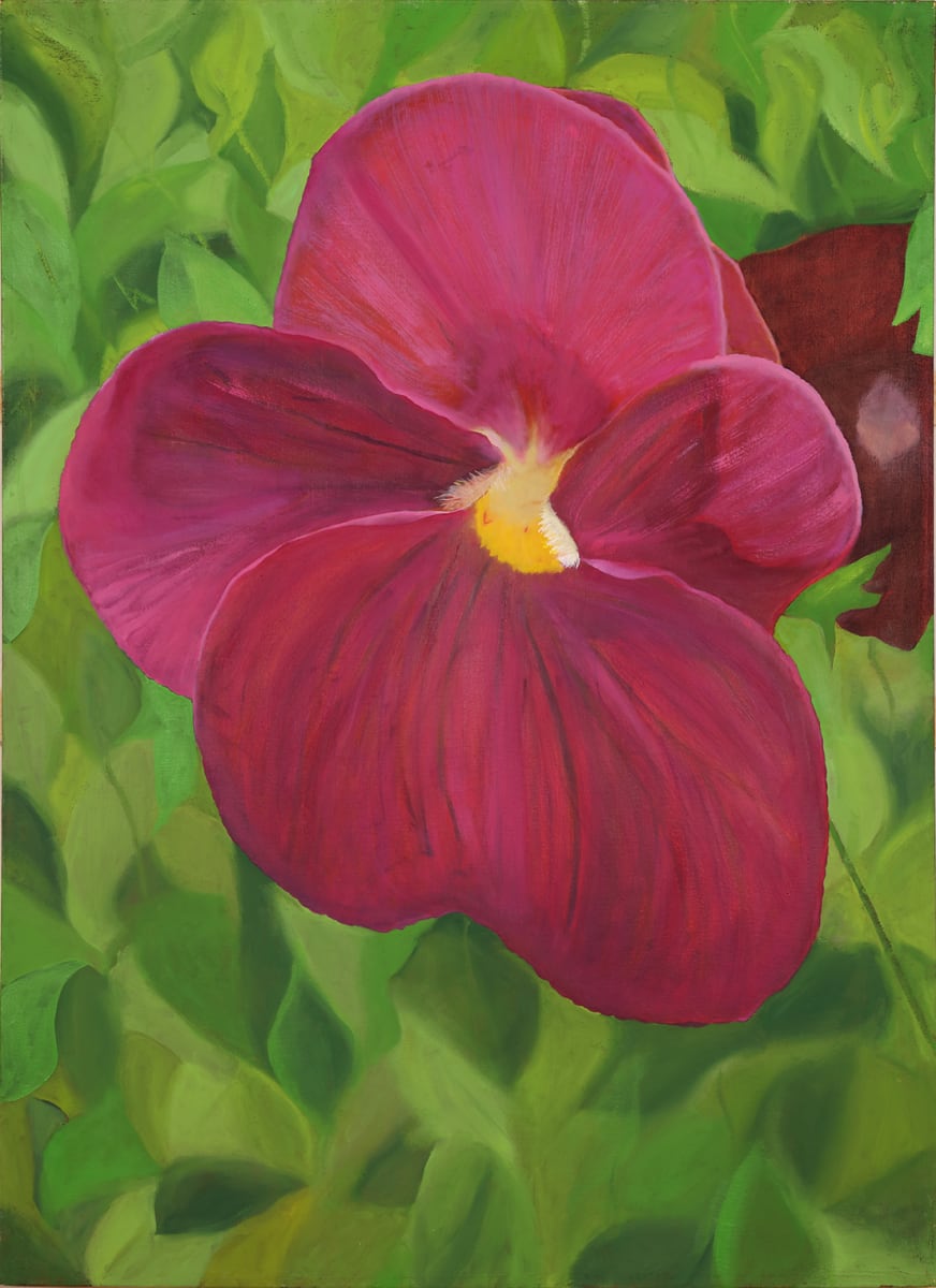 "Pansy #1" by Steven McHugh, Image 1.