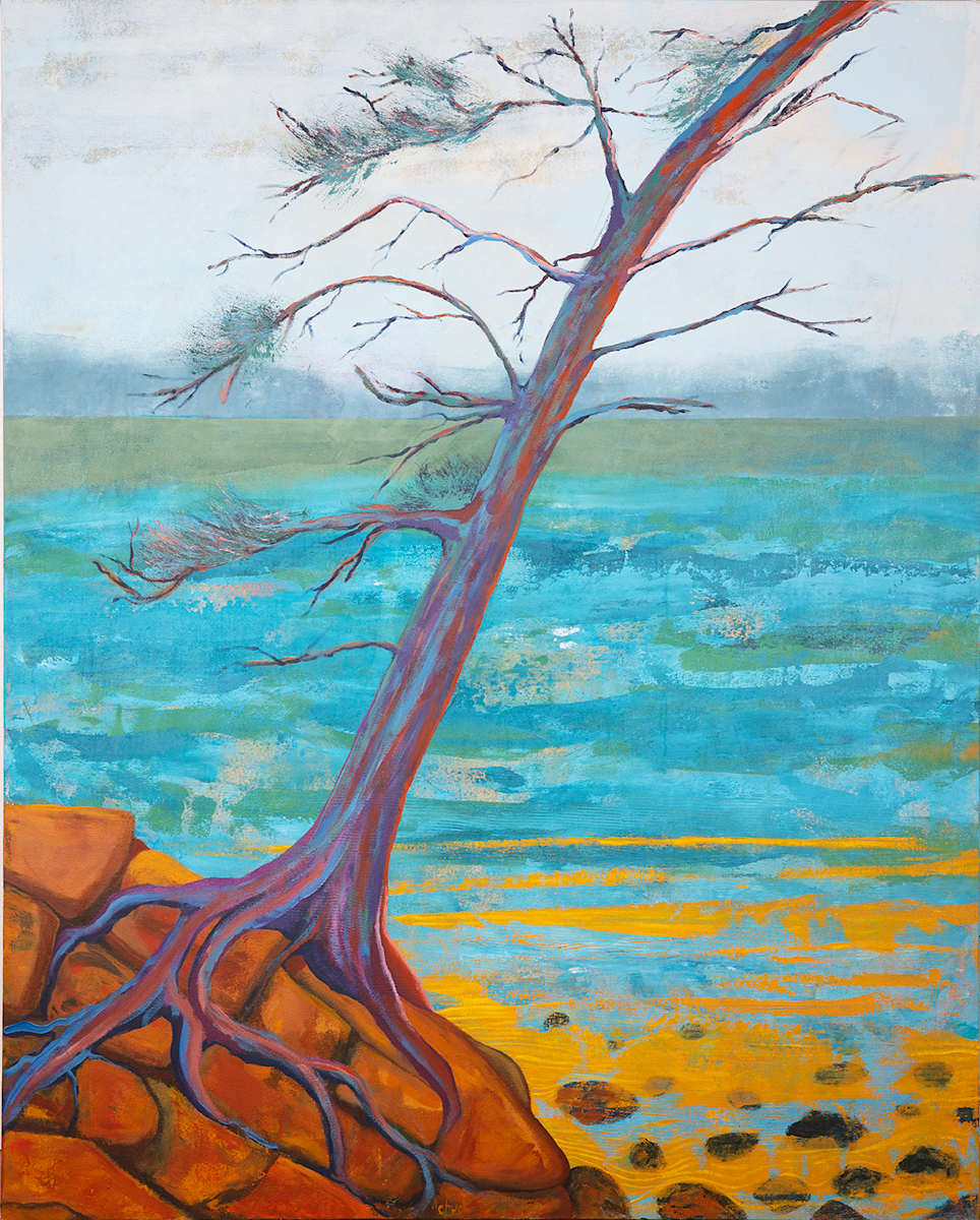 "Rocky Life" by Steven McHugh, Image 1.