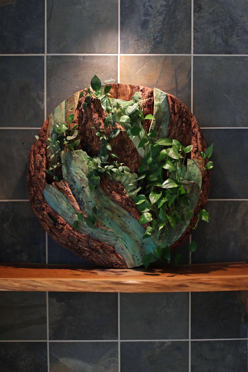 Root System Living Wall by aaron d laux 
