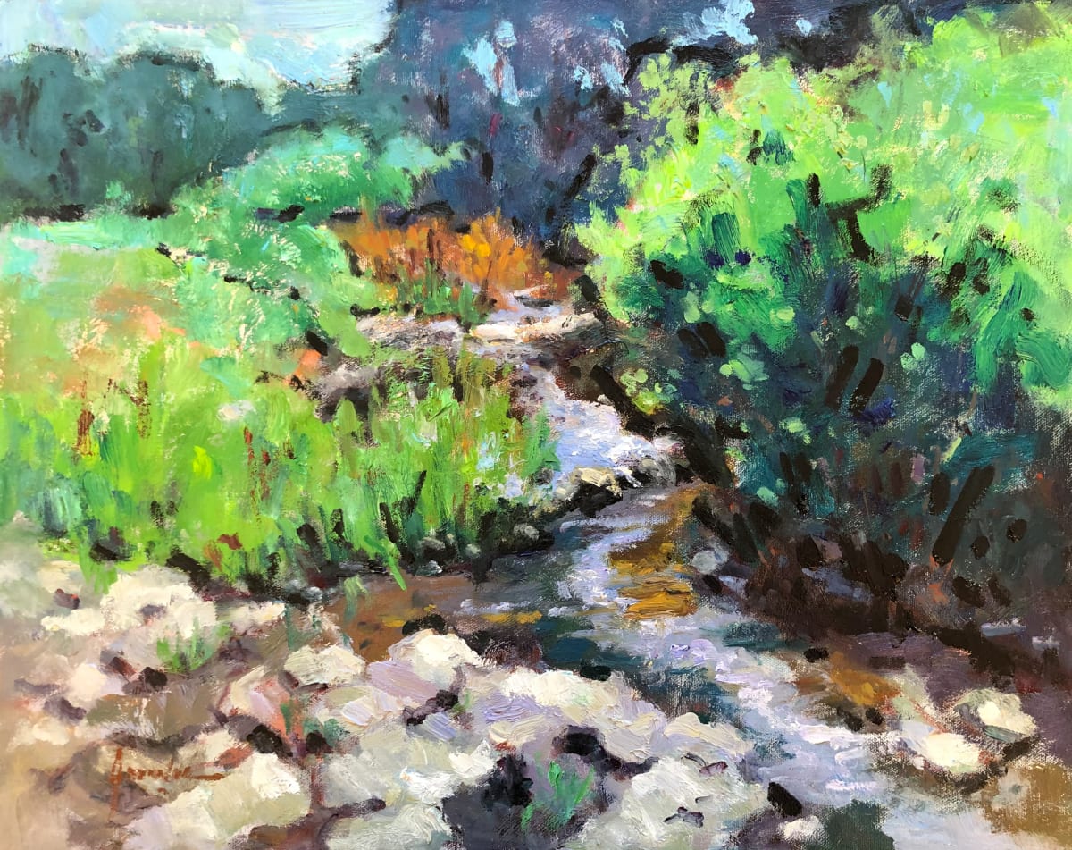 Olney Creek 