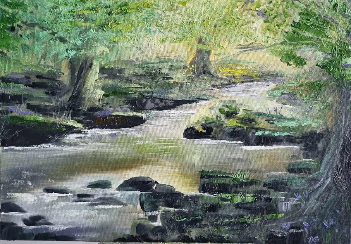 Kilbroney Forest Park by Debi Garrett  Image: A quiet place of reflection - where water heals, trees hold space, and the land calls us home.