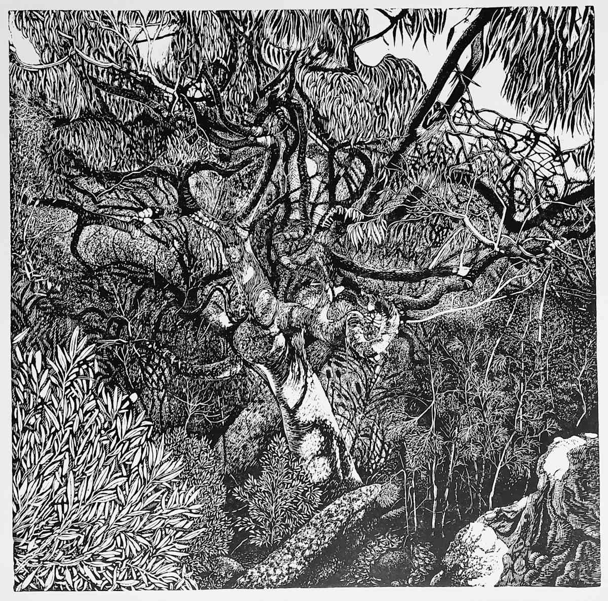 Tangle by Maggie  Stein, Image 1.