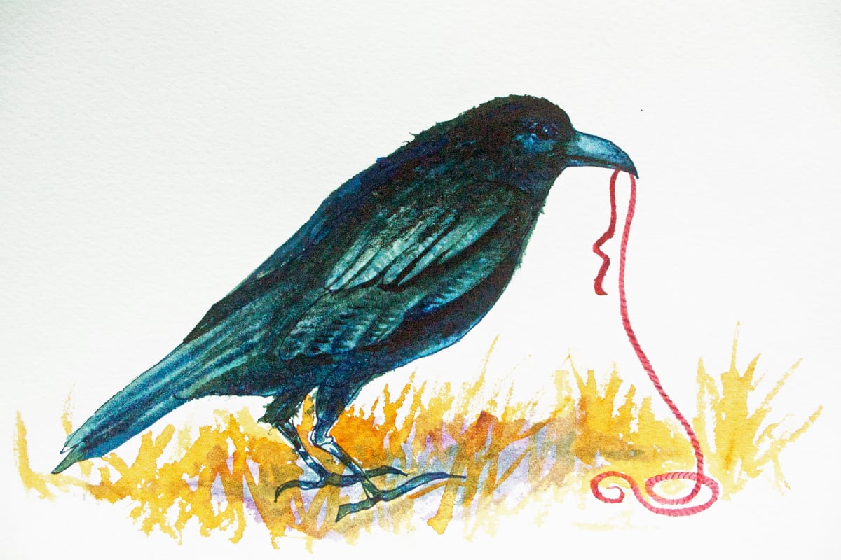 Crow and Red String Study,  19 of 33 by Helen R Klebesadel 