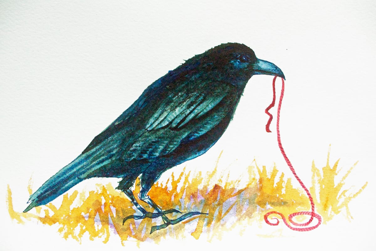 Crow and Red String Study,  19 of 33 