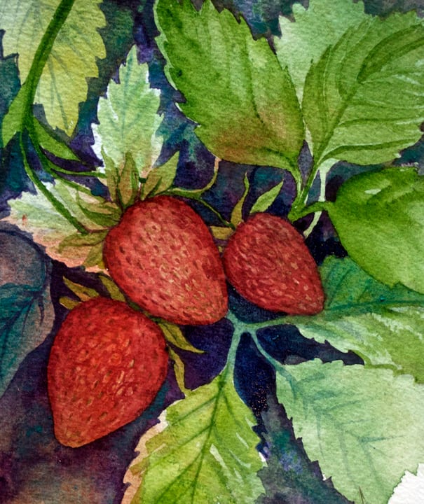 3 of 33, Three Strawberries by Helen R Klebesadel 