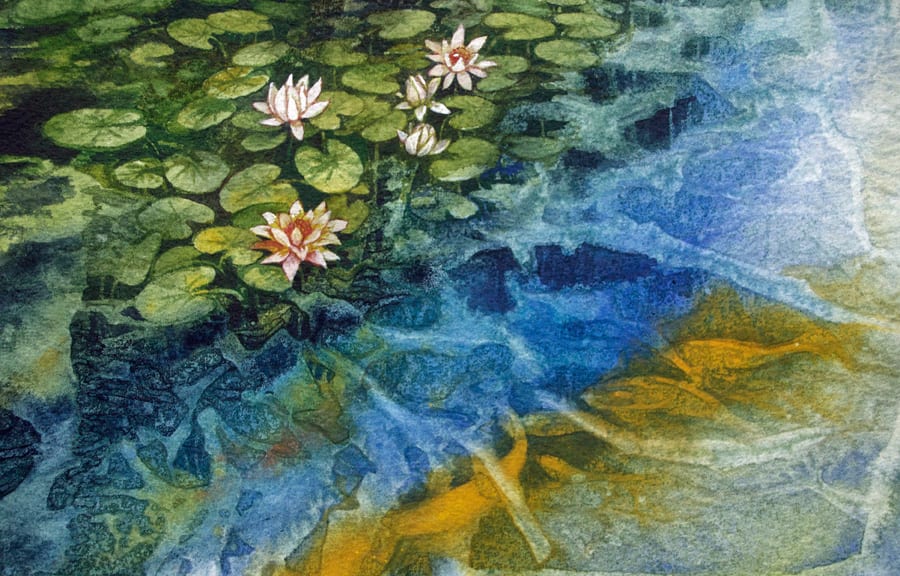 Koi and Water Lilies, 31 of 33 by Helen R Klebesadel 