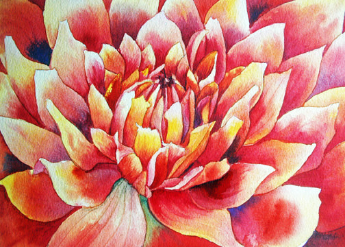 Dahlia an original watercolor framed by Helen R Klebesadel 