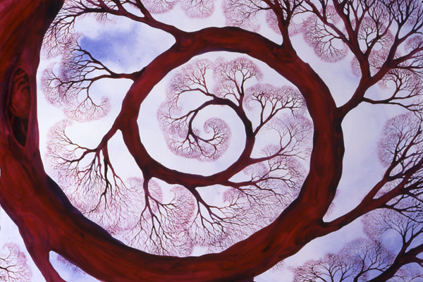 Sacred Spiral by Helen R Klebesadel 