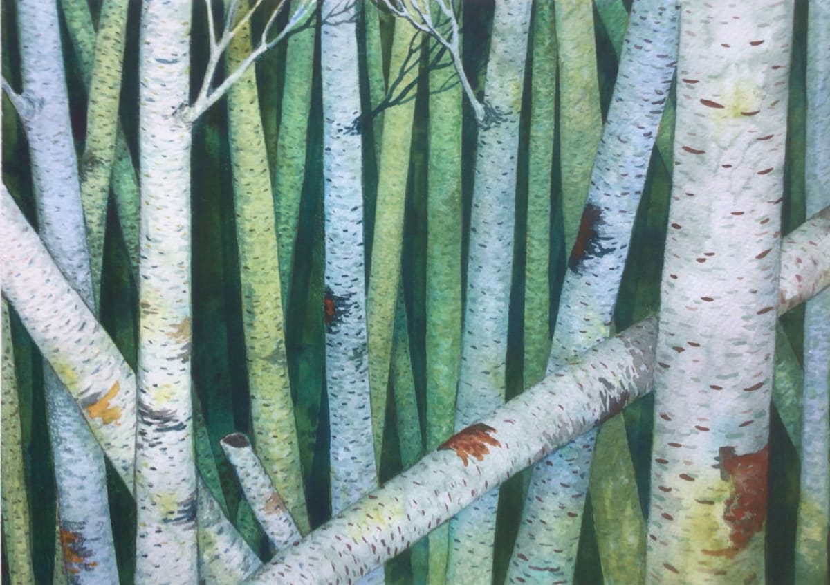 Birch Woods IV by Helen R Klebesadel 