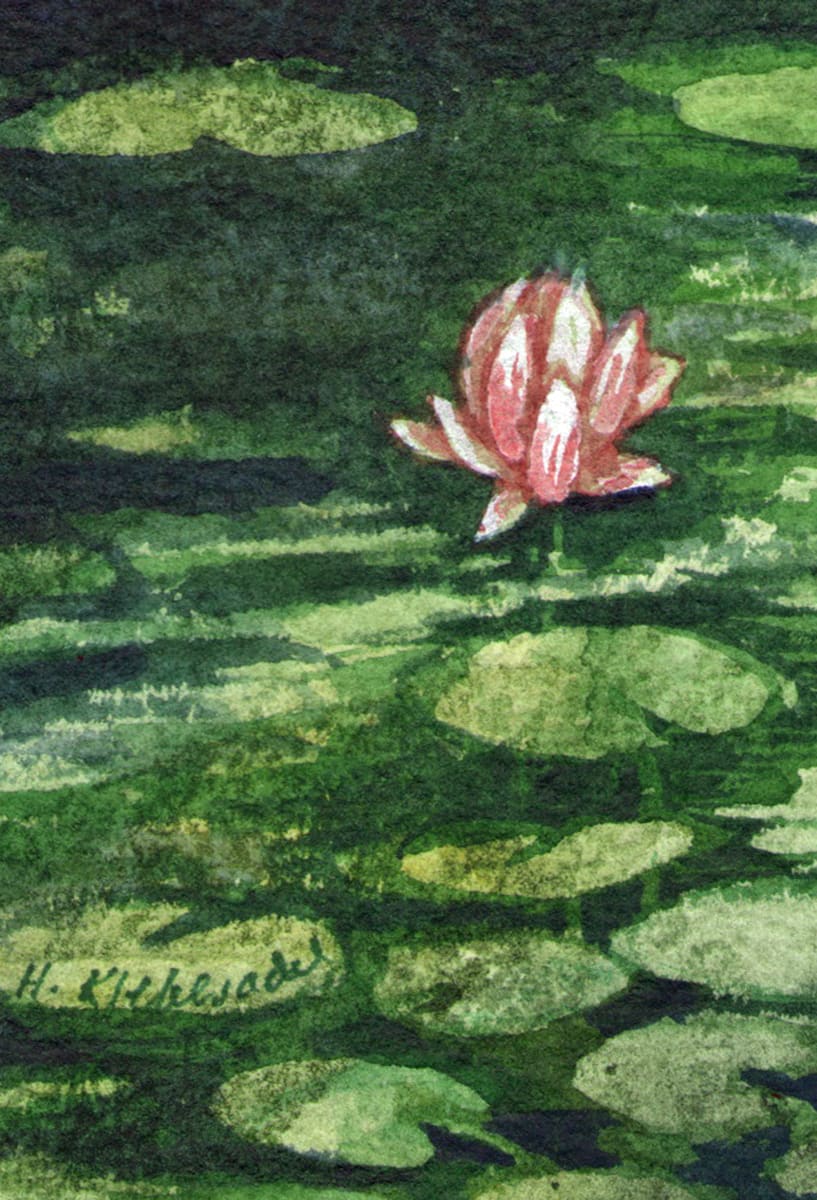 Water Lilies Study ACEO original watercolor by Helen R Klebesadel 
