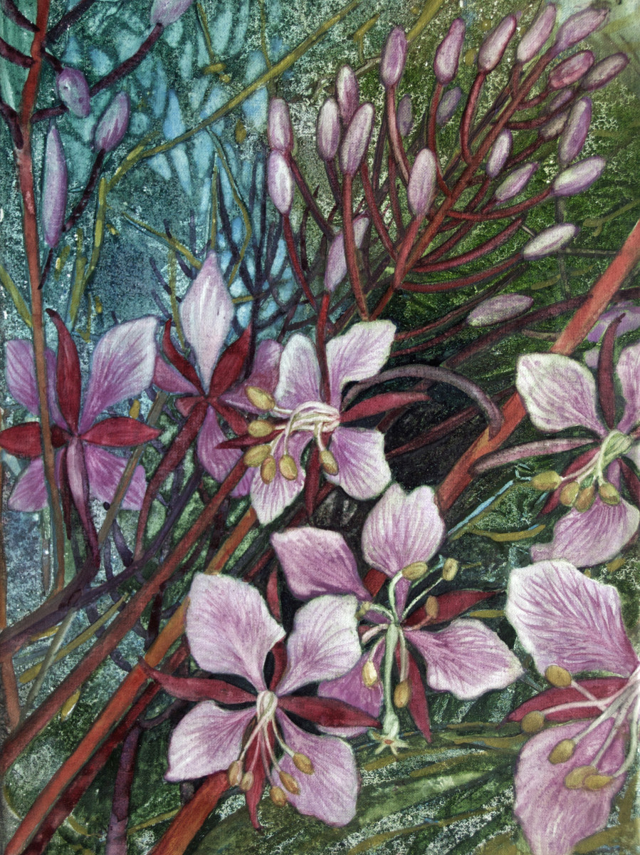 Fireweed I by Helen R Klebesadel 