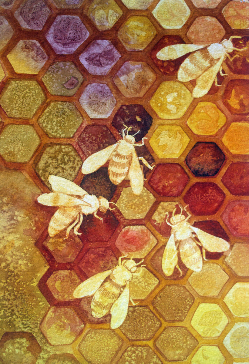 As Go The Bees Study by Helen R Klebesadel 